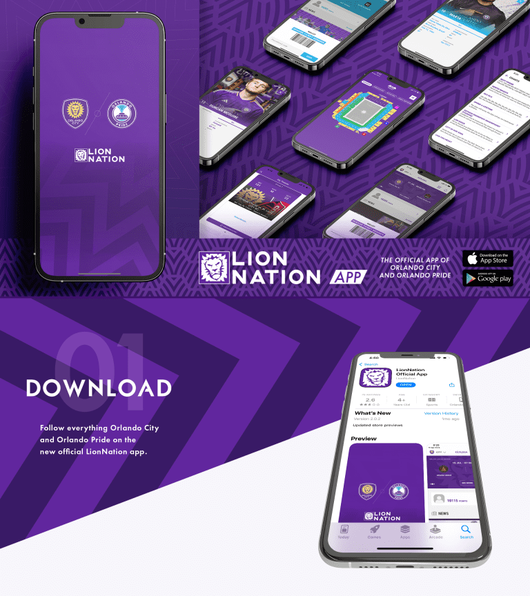 lionnation1